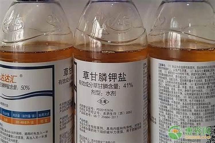 为什么西瓜地第二年不能种 西瓜地用什么封闭药