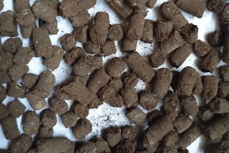 花卉用什么肥料