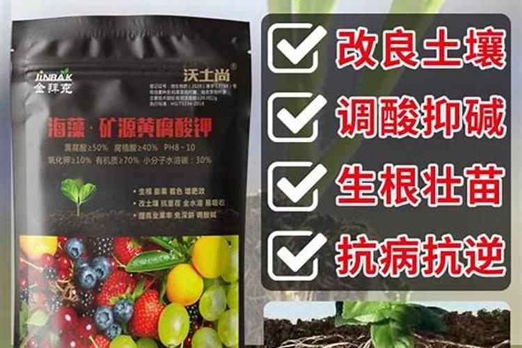 我国钾肥的进口国主要是