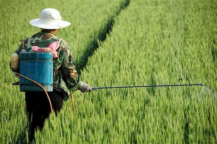 硼肥,钼肥和磷酸二氢钾能混合在一起喷施吗？