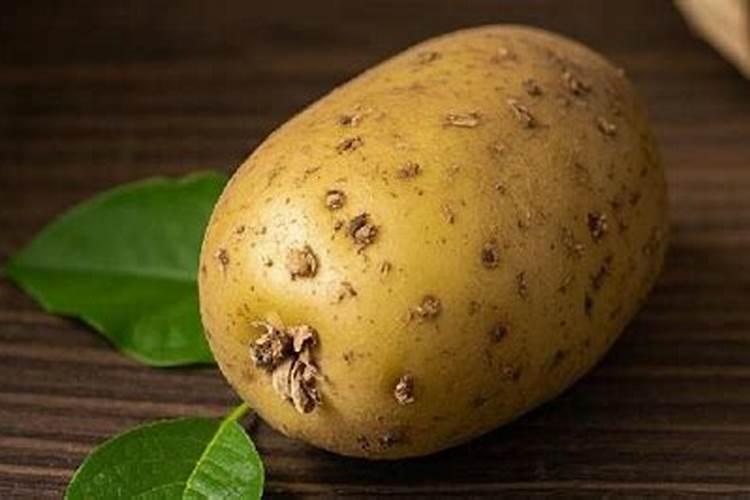 土豆复合肥氮磷钾比例