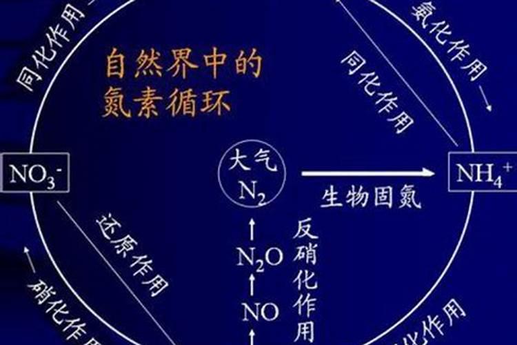 怎样把氮肥配制成氮气？