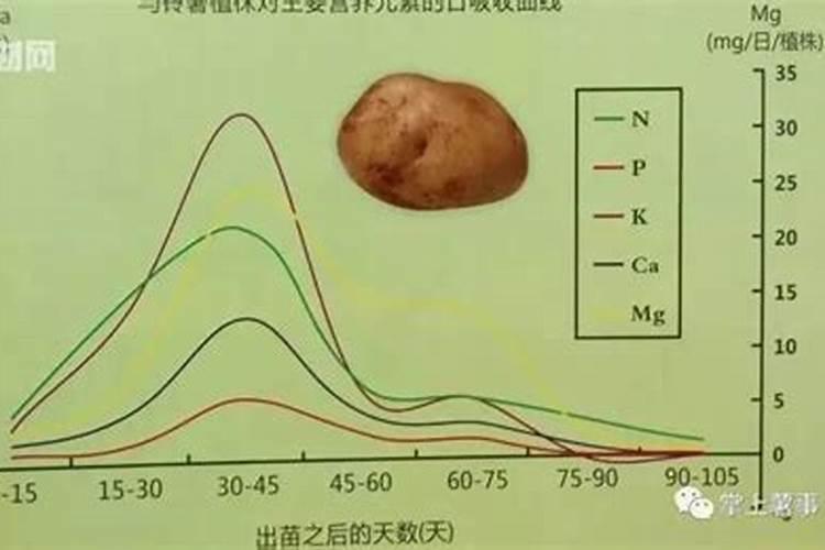硼肥在花期的使用方法,缺硼的土壤适合种什么