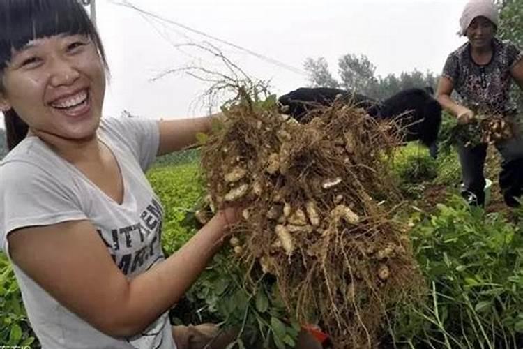 氮肥是碱性、中性还是酸性物质