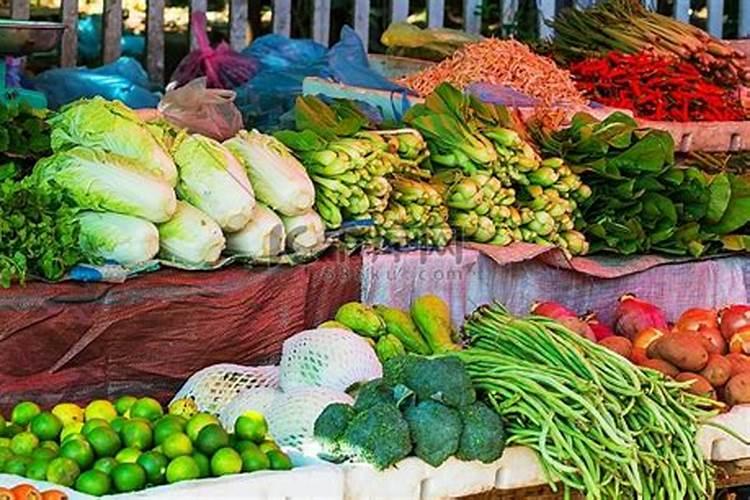 氮肥适合哪些蔬菜.