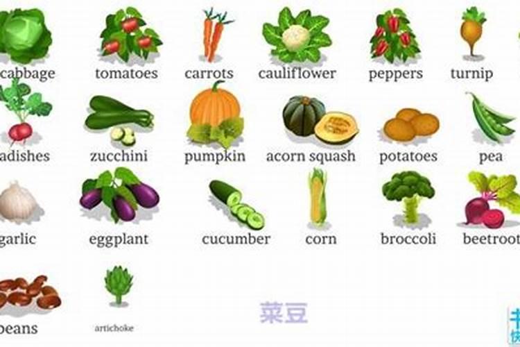 哪些植物适合氮肥