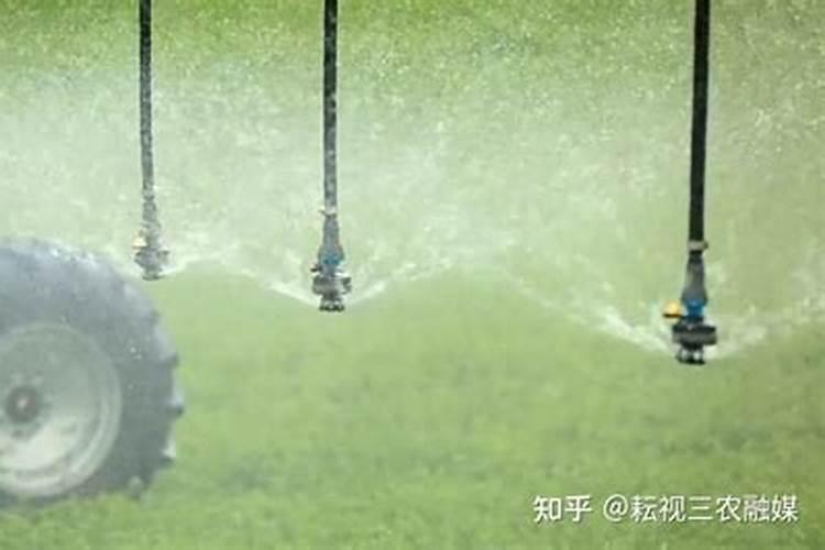 海藻水溶肥最忌三种颜色