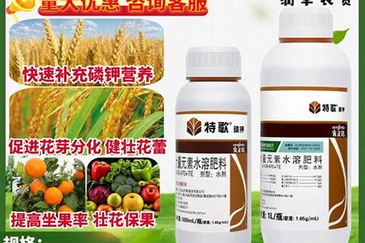 西瓜坐果后用什么肥料