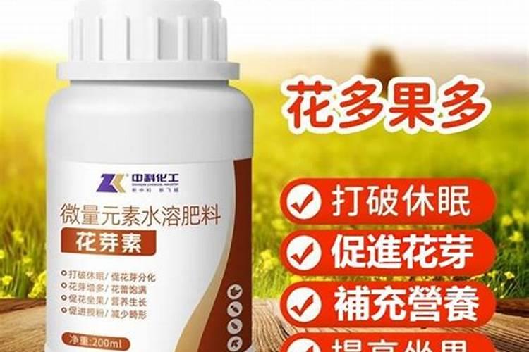 柑橘保花保果上什么肥料？柑橘保花保果喷什么叶面肥结果多？