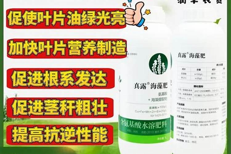 硫辛酸胶囊可以提高精子活力吗