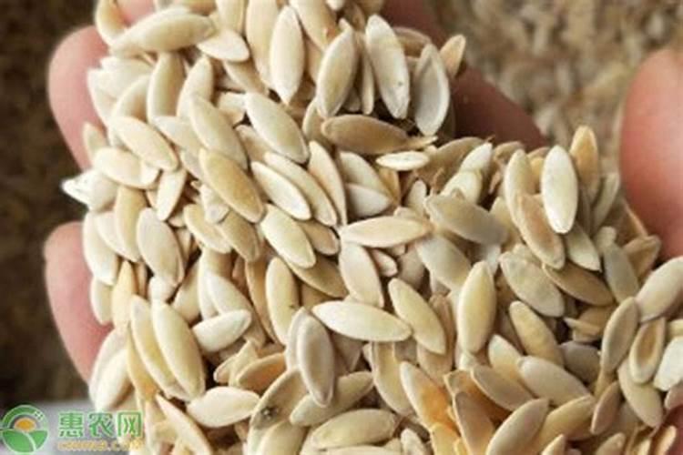 芸苔素14,24,28的区别是什么？