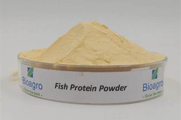 鱼粉和骨粉哪个喂狗好