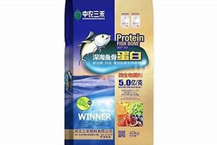 猪吃什么长得肥