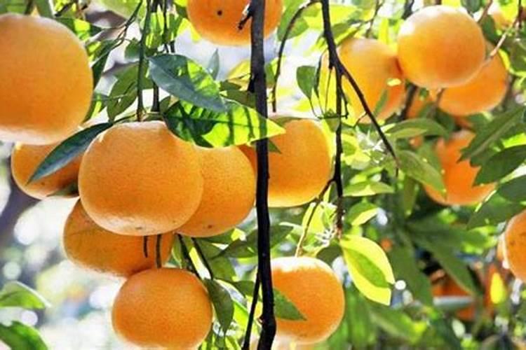 尿素等化肥的折纯数是如何计算的？