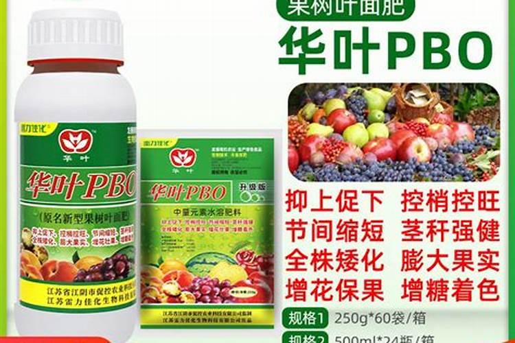 2022山西玉米最新价格多少钱一斤？