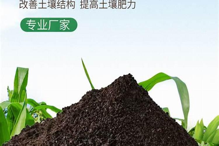 养花常用的肥料有哪些