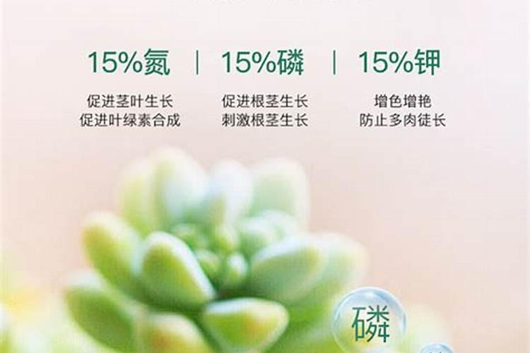 多肉可以施复合肥吗