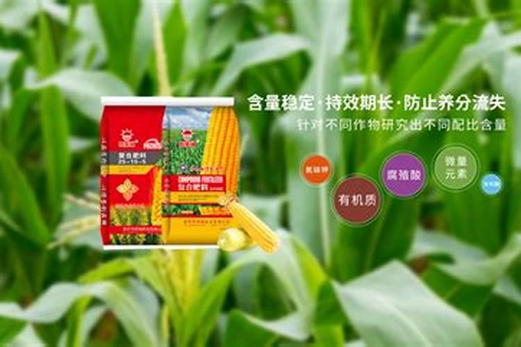 海藻叶面肥哪家好