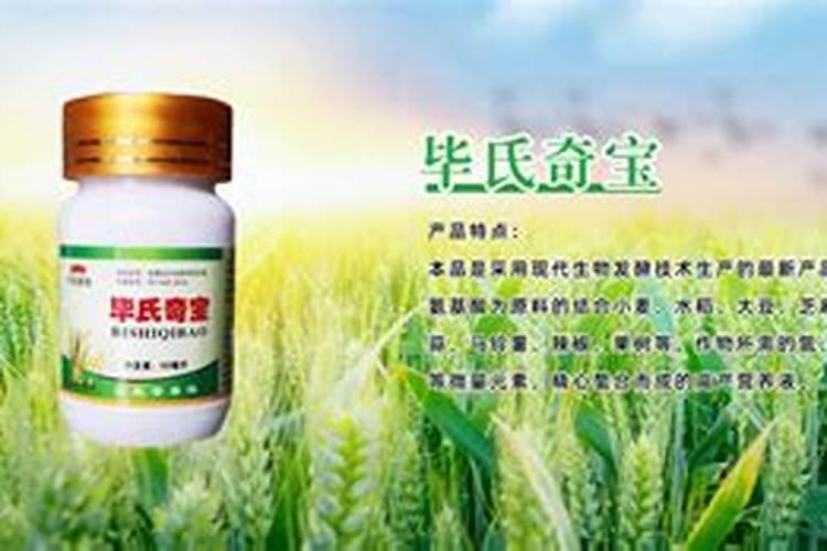 焦作市三条龙生态肥业有限公司怎么样？