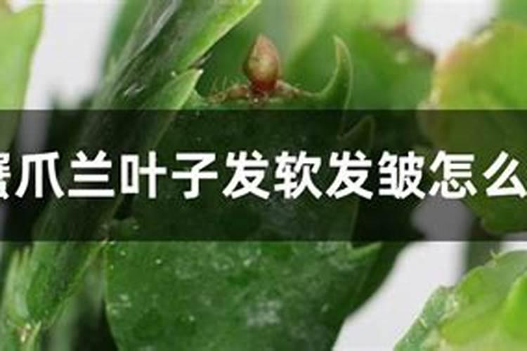 桶装水十大品牌排行榜