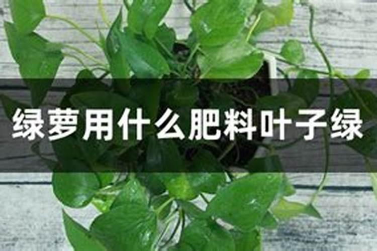 液态氮肥是什么