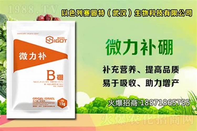 韭菜栽培管理 韭菜怎么施肥