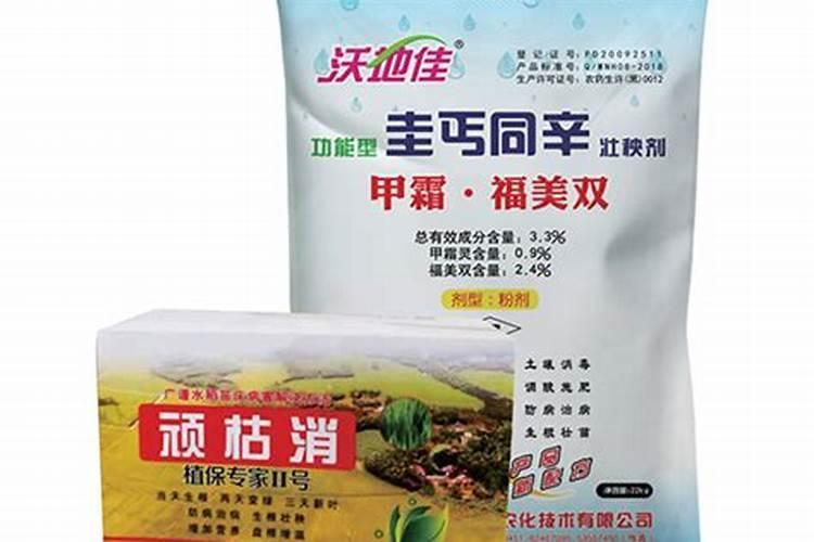 请教 我这个小麦是缺什么吗？