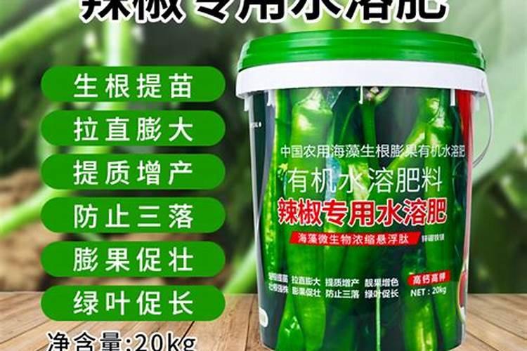 用家里的材料什么可以代替硼砂