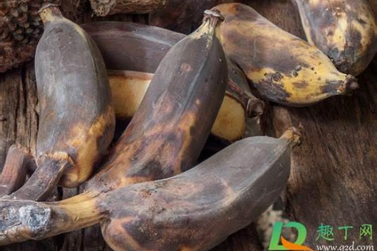 烂香蕉可以做肥料吗