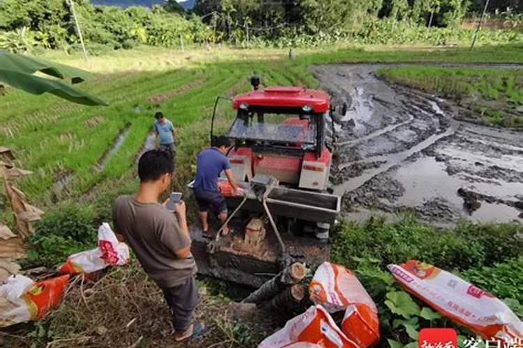 一文读懂肥料增效剂及氮肥增效!