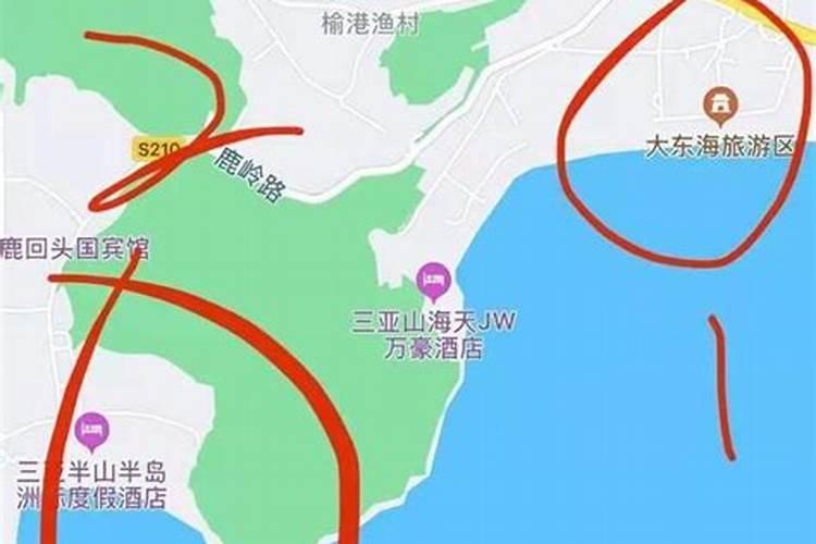 黄果兰果实有什么用