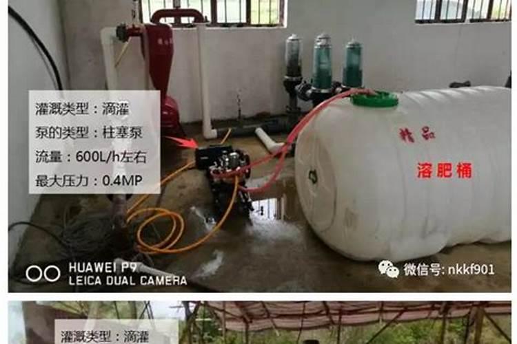 磷酸二氢钾果树怎么用