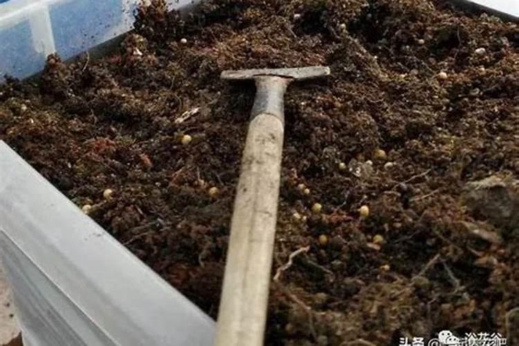 种菜施肥用什么水溶肥料好？