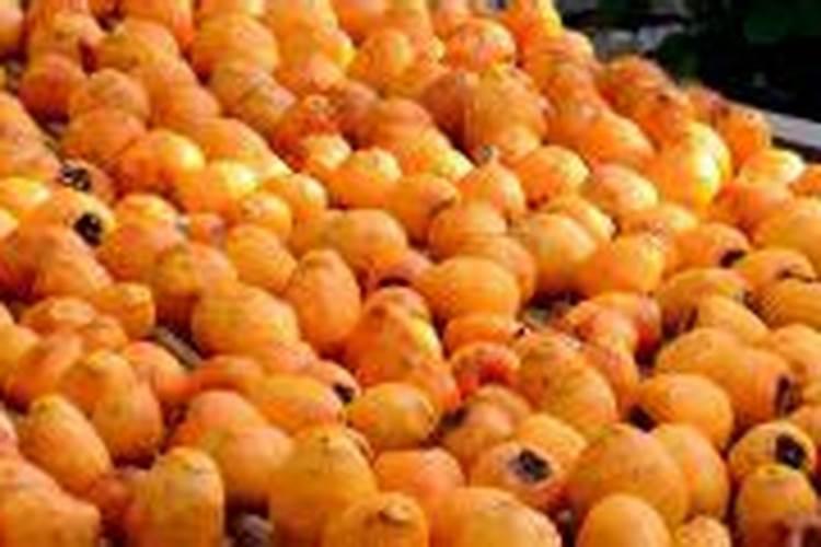 钙尔奇钙片遇到醋为什么会起泡