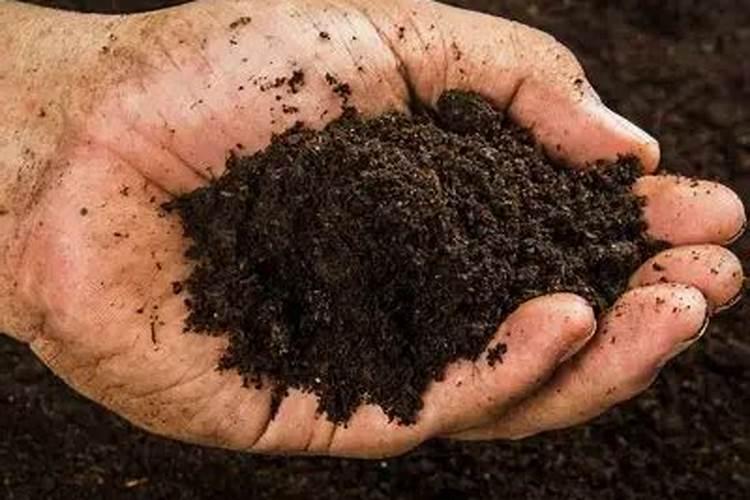 盐矿怎么提取可食用盐