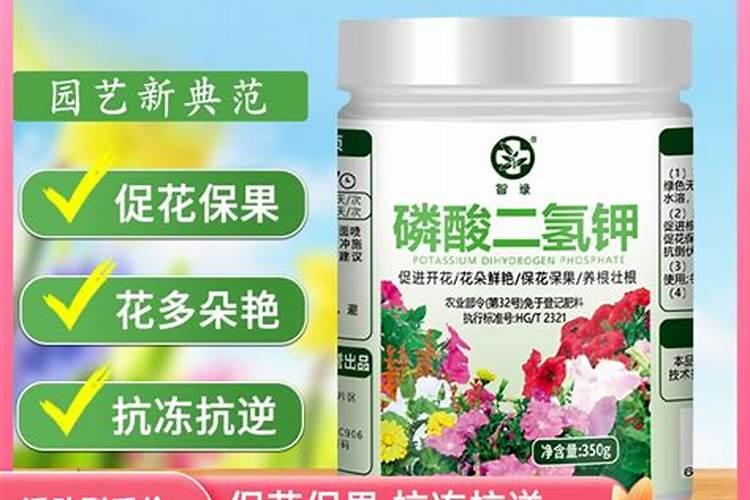 绣球花底肥放什么肥好