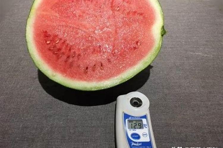 豆角想要高产怎么施肥