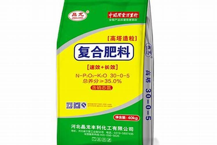 桑果树什么时候种植