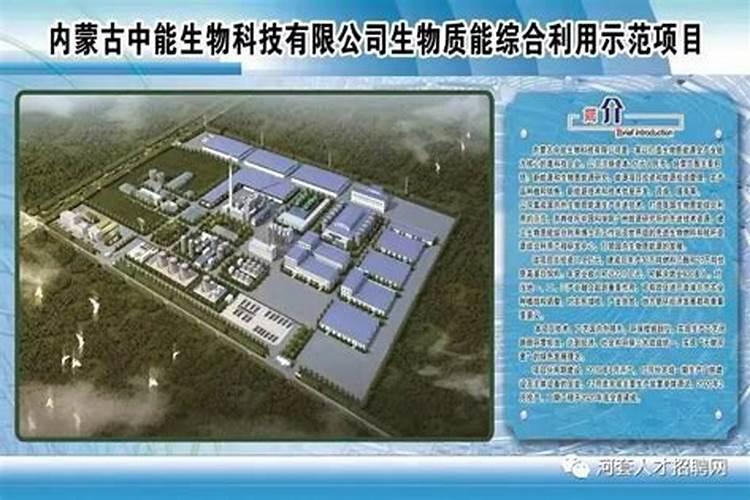 内蒙古包头特产:海岱蒜