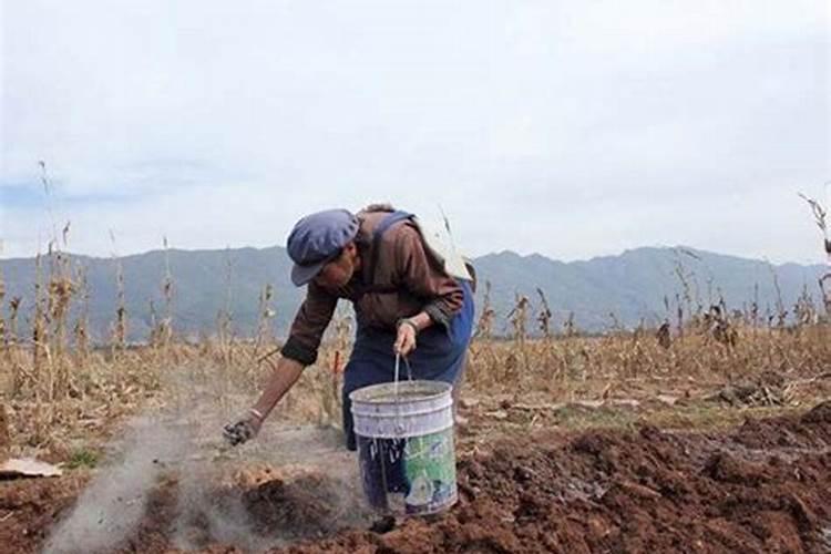 聊一聊陕西汉中有什么特色小吃？