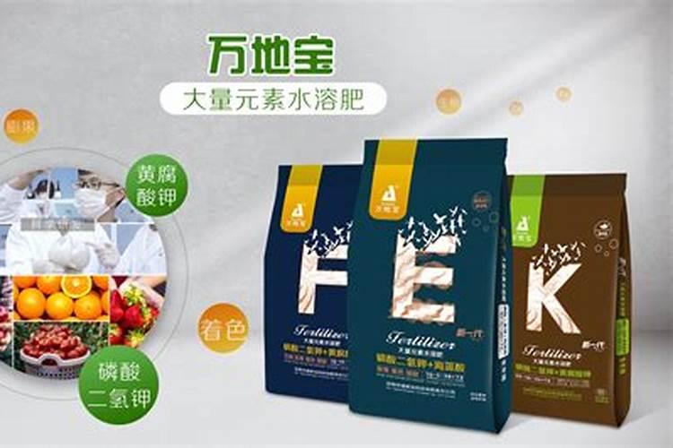 大葱用什么肥料长的快？腐植酸水溶肥助增收