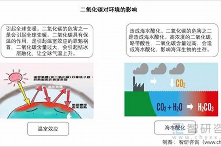绿色的颗粒化肥有哪几种