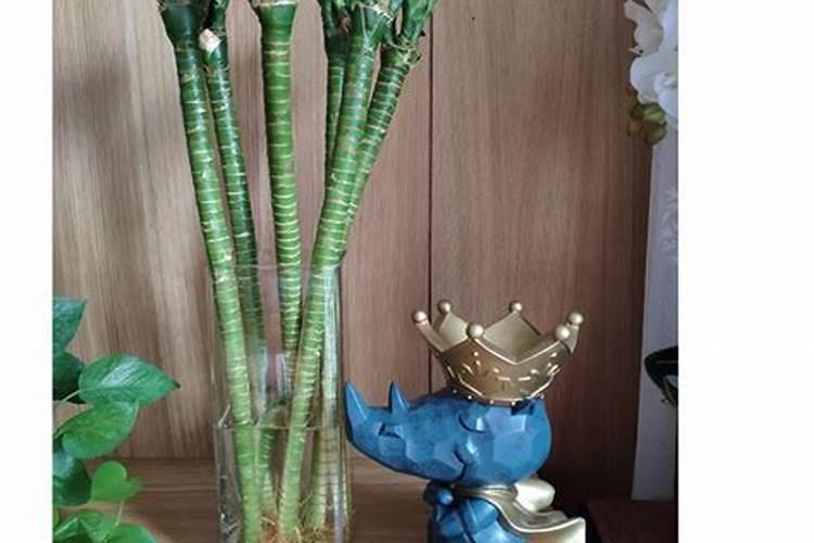 叶面肥是不是绿叶神效