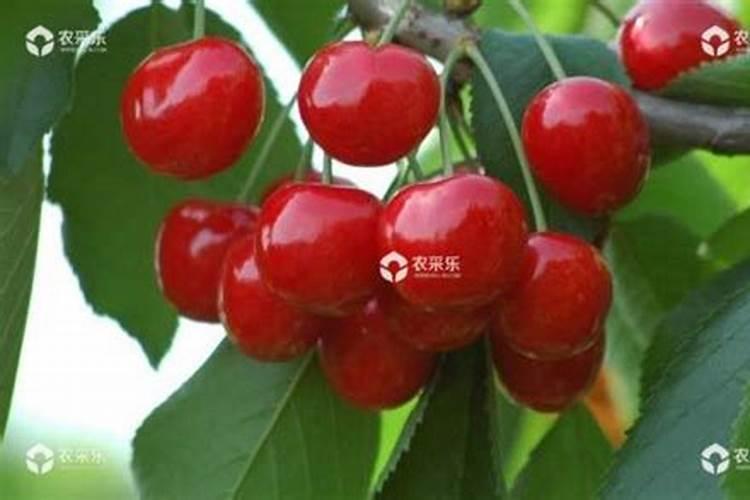 终谷农业科技是正规企业吗