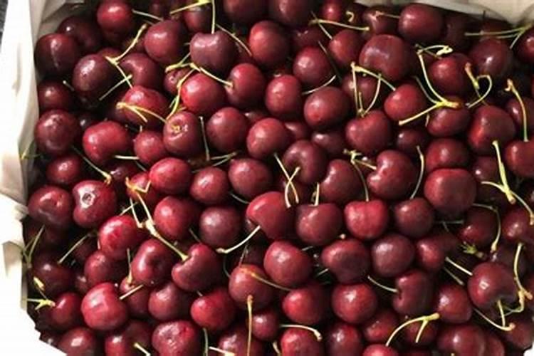 樱桃结果期冲施什么肥料好？樱桃膨果期用哪种水溶肥效果好？