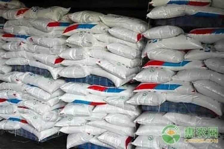 富贵竹施什么肥好