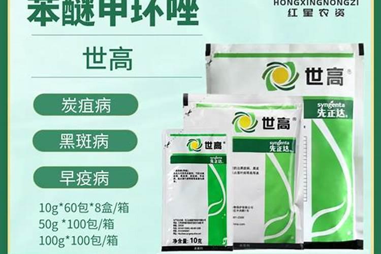 富贵竹应该施什么肥