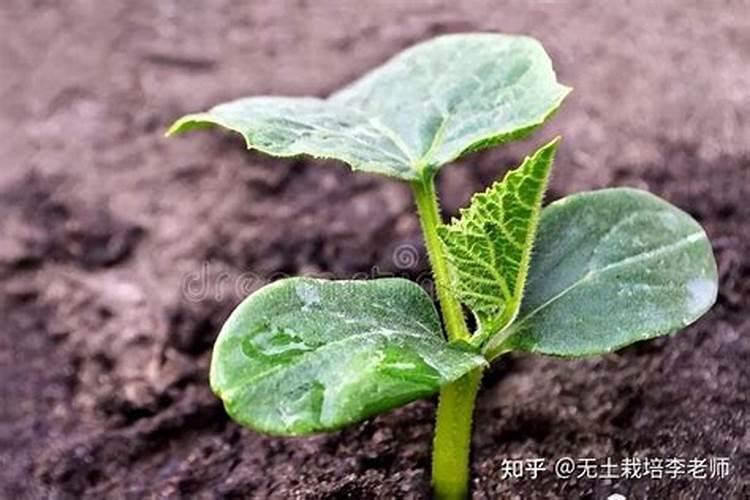 水溶肥含量的30%的钾和40%的钾的含量区别是什么制作工艺一样吗？