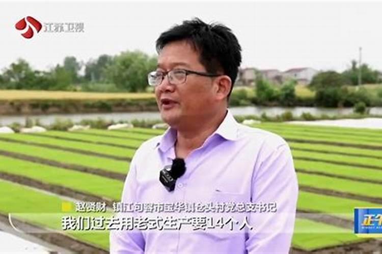 水稻什么时间施肥最好