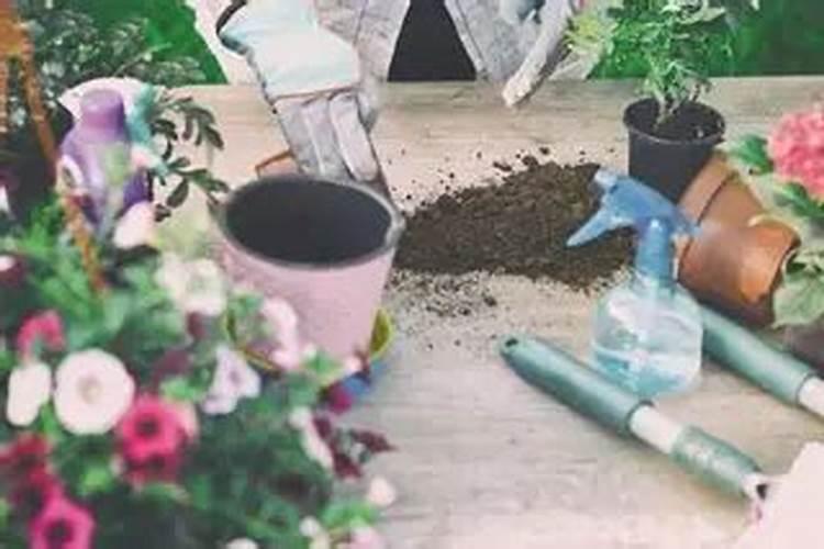 一升水放几粒尿素浇花？千万别在错了